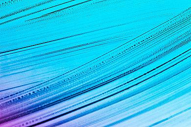 《暗影诅咒：复刻版》上架Steam 三上真司参与制作